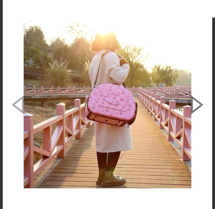 Чанта за пренасяне на домашни любимци