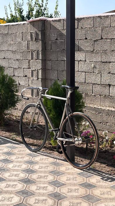 BearBike Milan 56