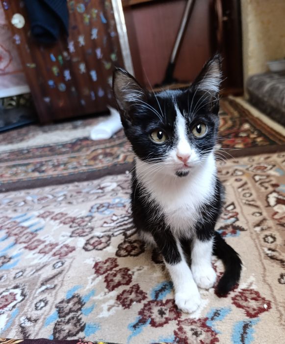 Hadyaga yaxshi qaraydigan insonlarga