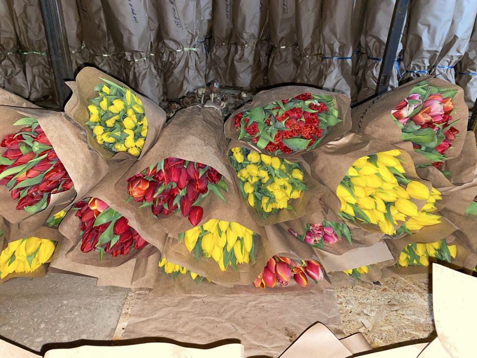 Местные Тюльпаны по СУПЕР цене!