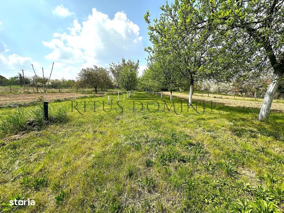 Teren Intravilan de Vânzare, Cetariu, 5450mp