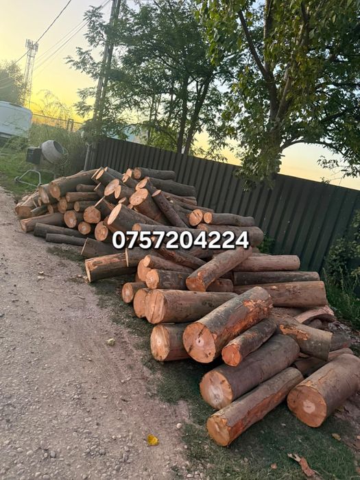 Lemn de foc 300 lei metrul ster, cantitate minimă de 8 metri