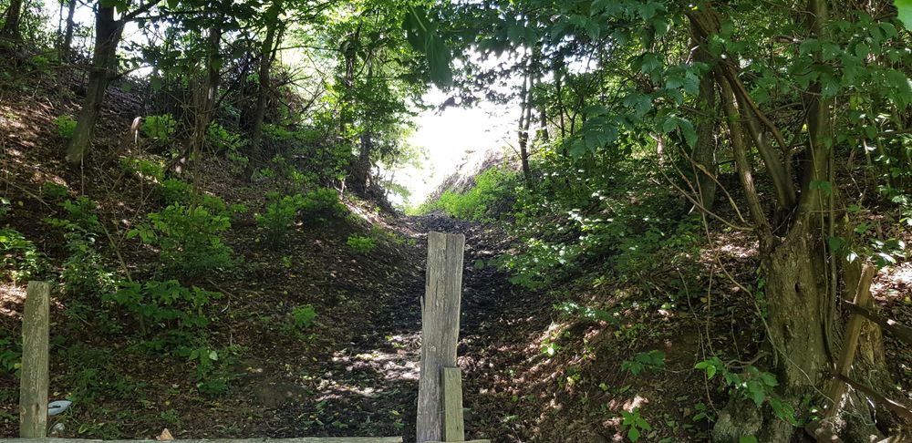 29.000mp lângă Curtea de Argeș, 2 căsuțe, curent electric și apă rețea