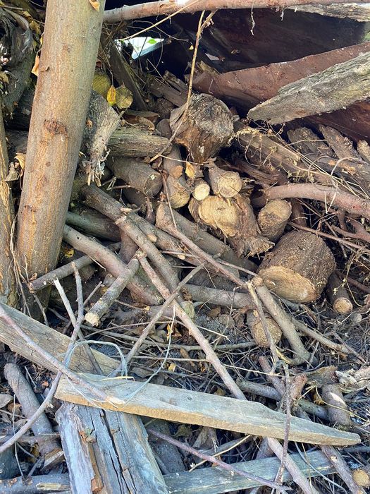 Продам дрова для бани много