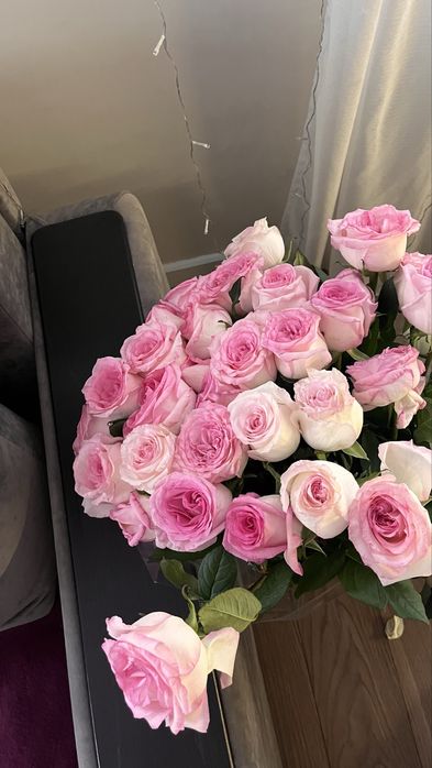 розывые метровые розы