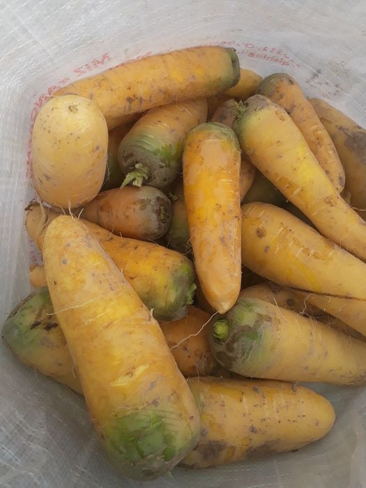 Sabzi bor. Narxi kelishiladi