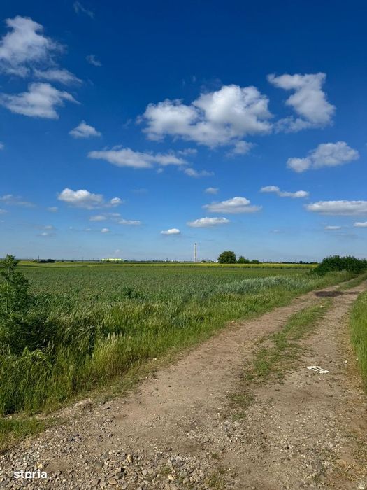 Teren de vanzare – 5.000 mp in comuna Slobozia, judetul Giurgiu