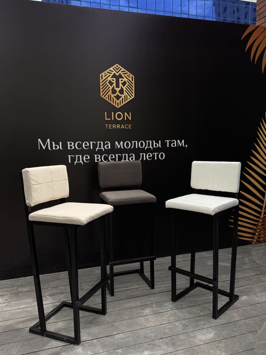 Полимерная покраска астана