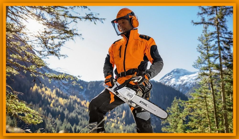 Обрезка дерева Дарахт кесиш