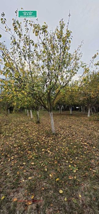Продава се Къща в Роман - 120 кв.м за 309 €/кв.м - Снимка #7