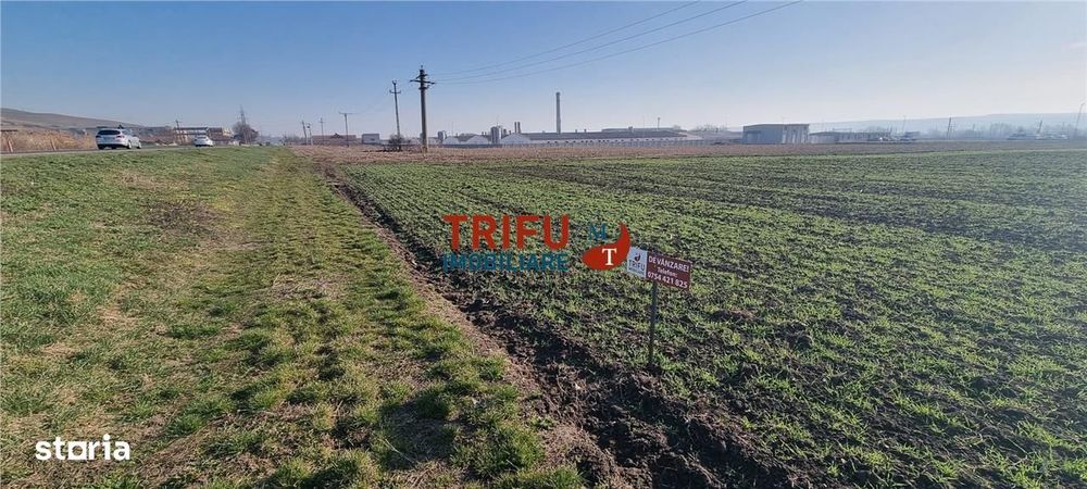 Teren industrial 11600mp la DN1