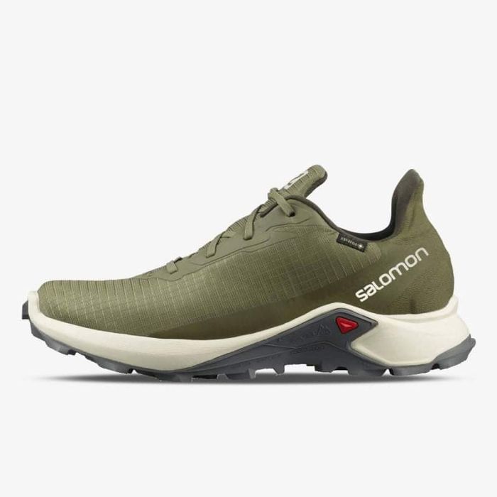 Маратонки Salomon GTX 44