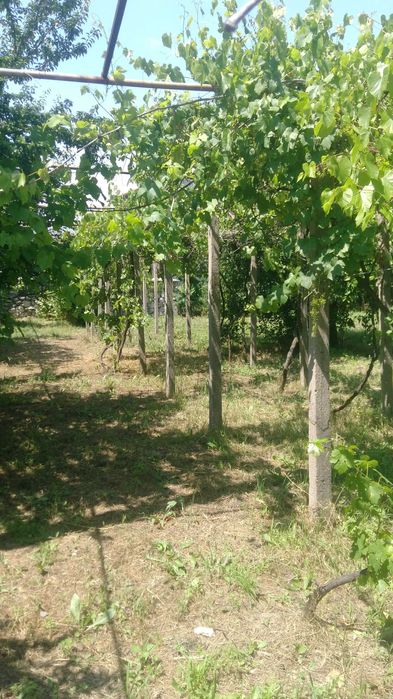 Вила Кенана - Хасково