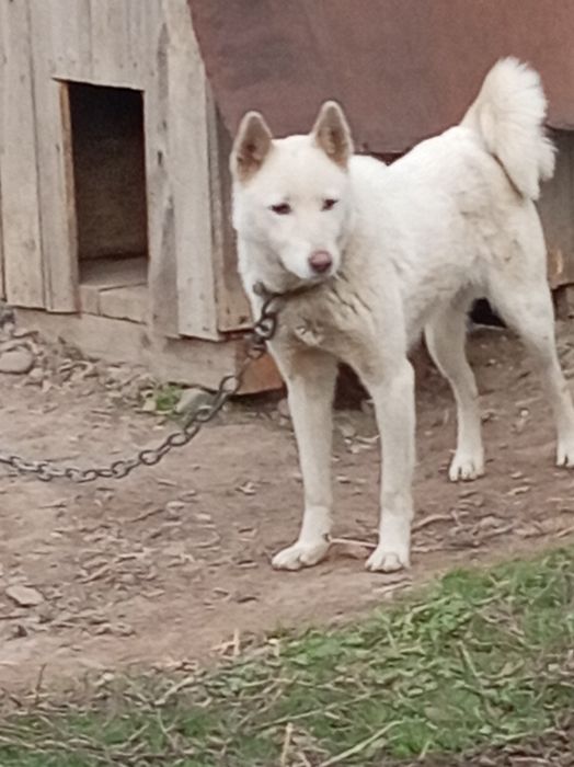 Продам Продам Продам