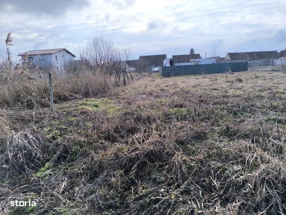 Teren intravilan cu Puz in Cristian