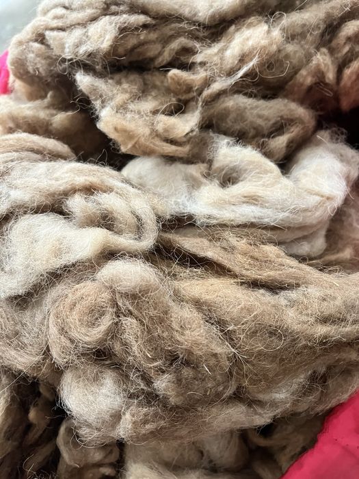 Шерсть верблюжья
