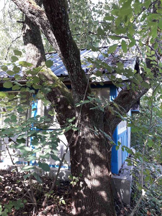 Продава се Земеделски имот в Враца, Вежен -  кв.м за 12750 €/дка - Снимка #3