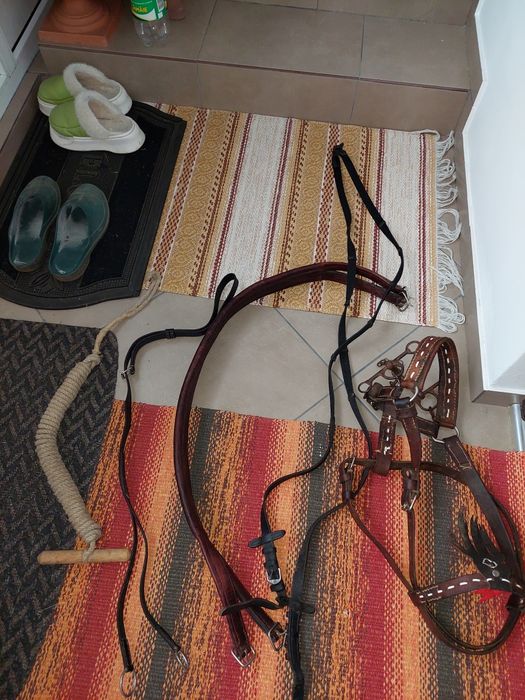 Vând șa călărie și antrenament