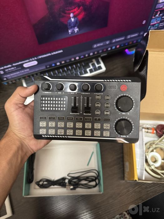 Professional Condenser Microphone