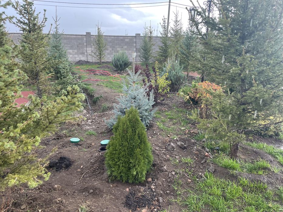 Озеленение, благоустройство, сад