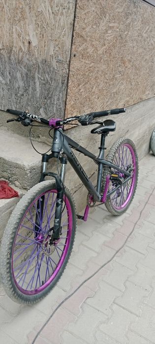 EREC L 100 стант велосипед