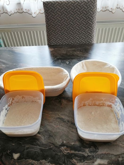 Vând maia naturala fără drojdie, pentru pâine, cozonac și aluaturi