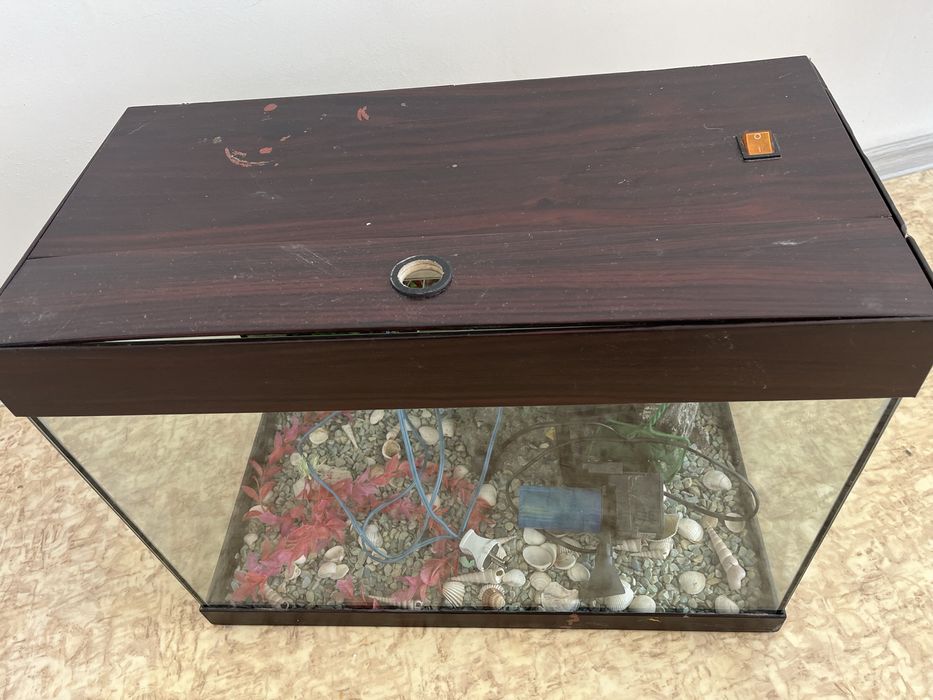 Аквариум для рыб