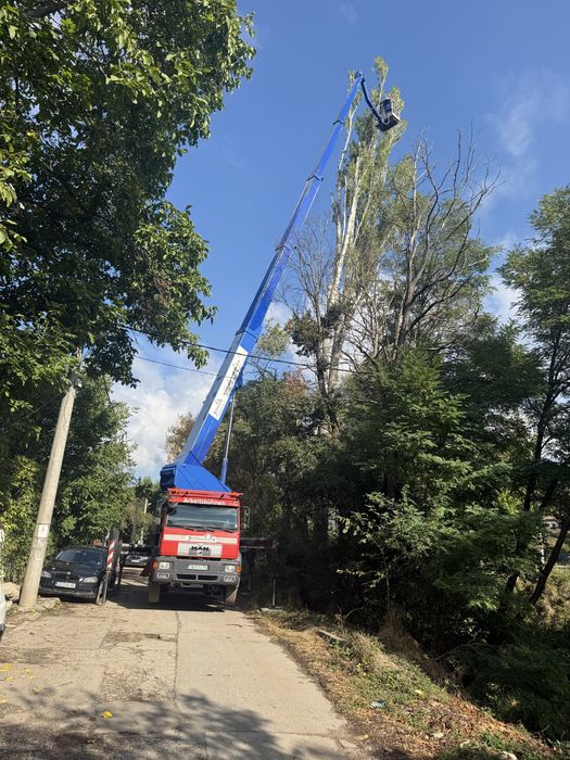 Автовишка под наем.Рязане и кастрене на опасни дървета!