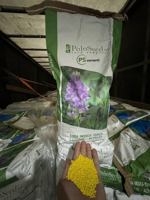 Беда Уруг [TURKIYA] Optim