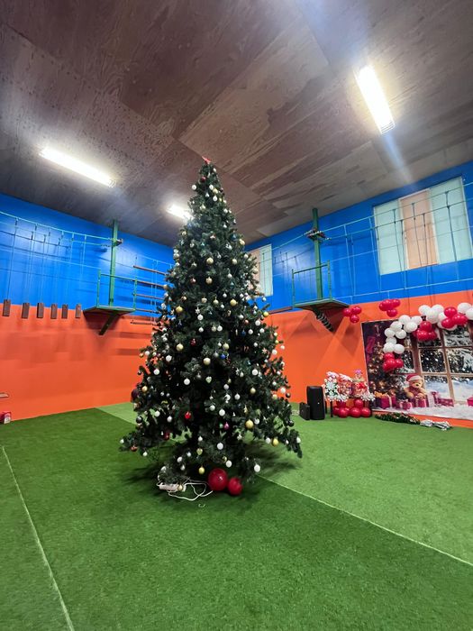 Сдам в аренду Ёлку + помещение