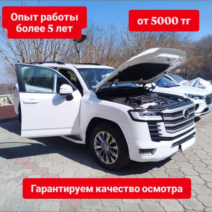 Автоподбор Автоэксперт эндоскоп