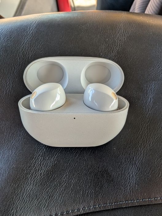 Sony WF-1000XM5 серый