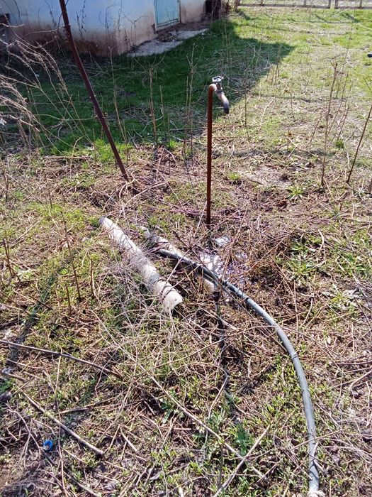 Дача в Арысь за Дендро парком