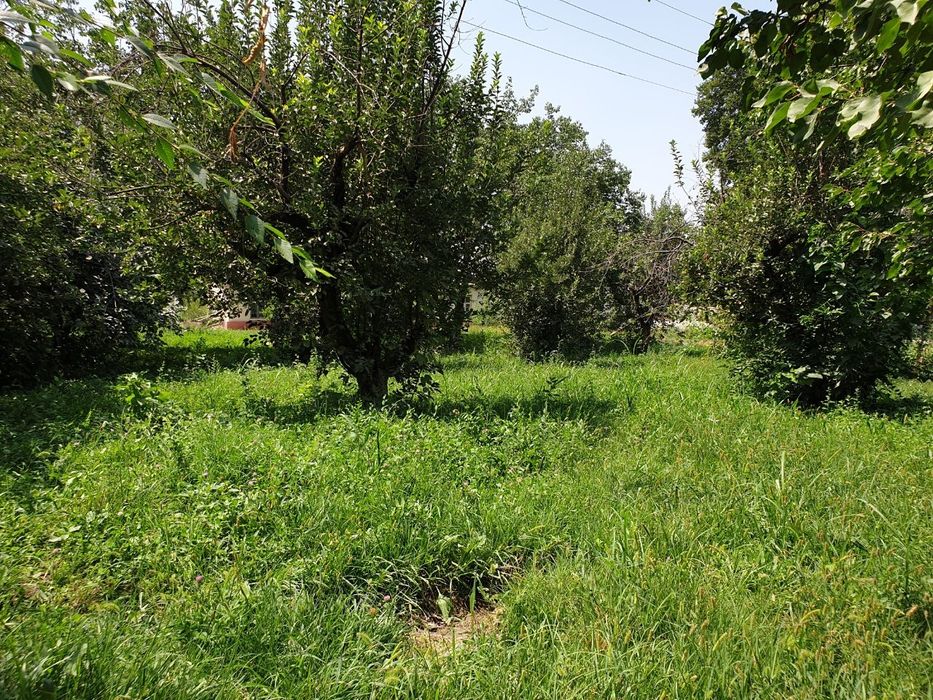 Нотурар 50-сотих Худуд Сотилади