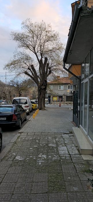 Дава се под наем Магазин в Асеновград - 70 кв.м за 357 € - Снимка #3