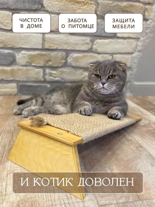 Когтеточка горка