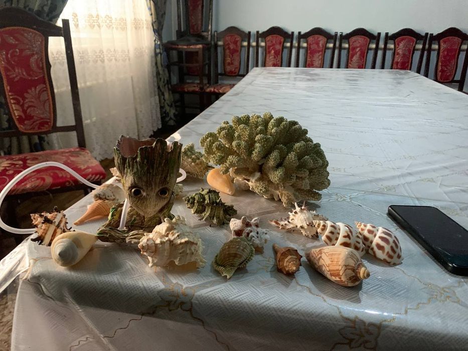 Аквариум  700.000 сум