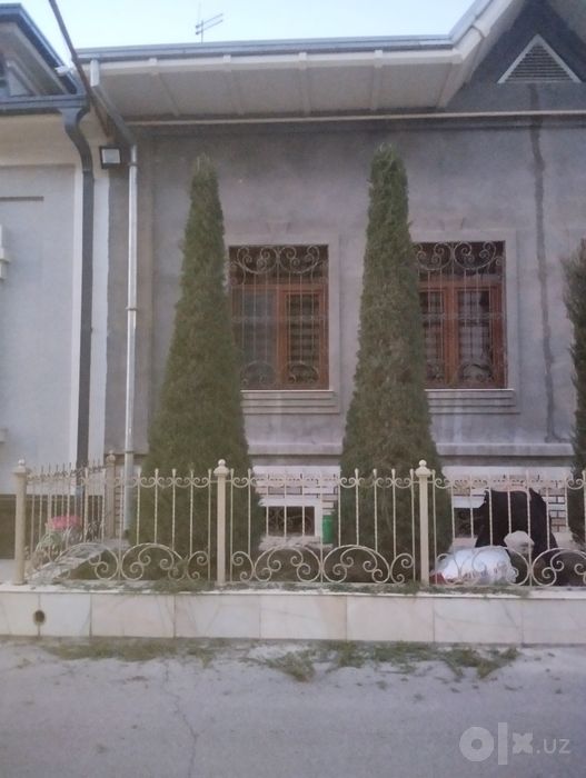 Gazon lanshaft xizmati bor