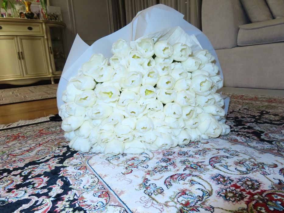 Тюльпаны Алматы