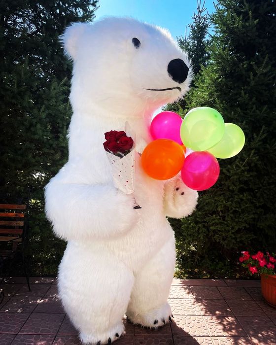 Поздравление Белого Мишки