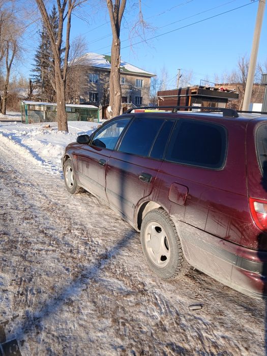 Малга арбастаймин