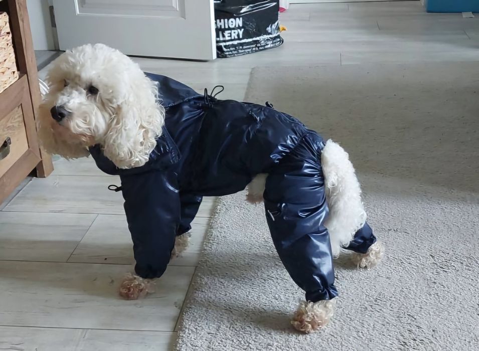 Гащеризон дъждобран, гети, нашийник