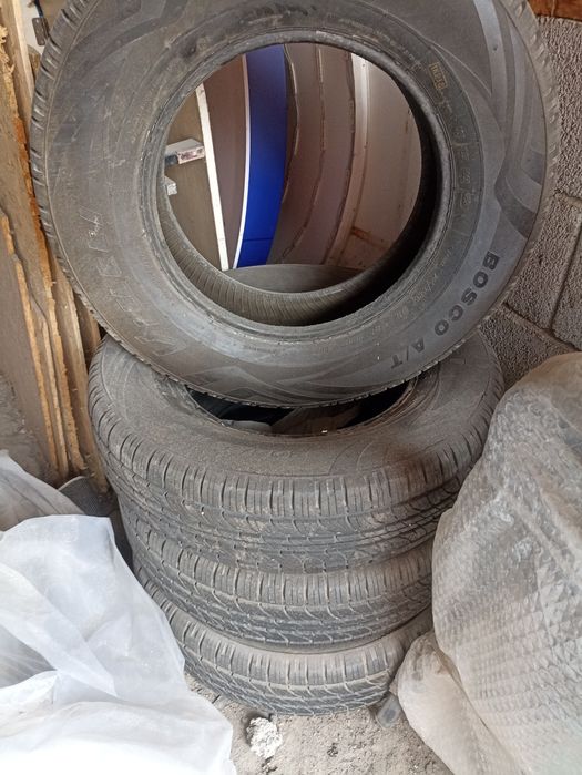 Резина летний сезон