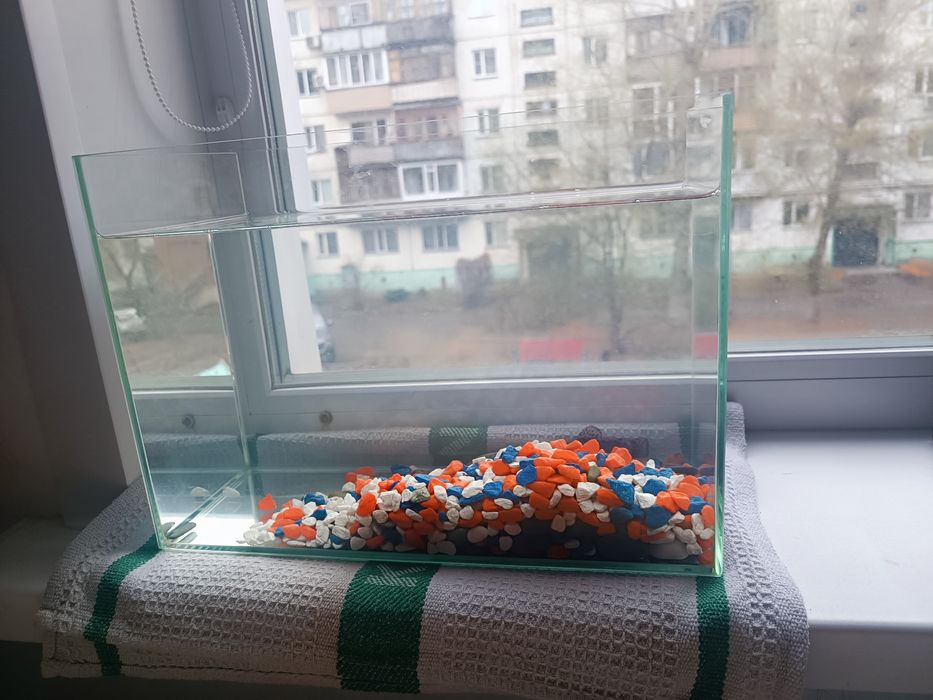 Аквариум с рыбкой