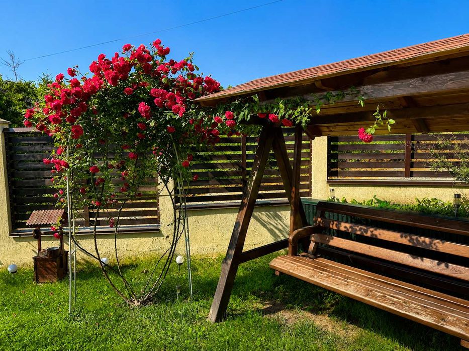 Bucium – Pădurea de Tei | Casă 140 mp | Panoramă Superbă | Panouri Fotovoltaice