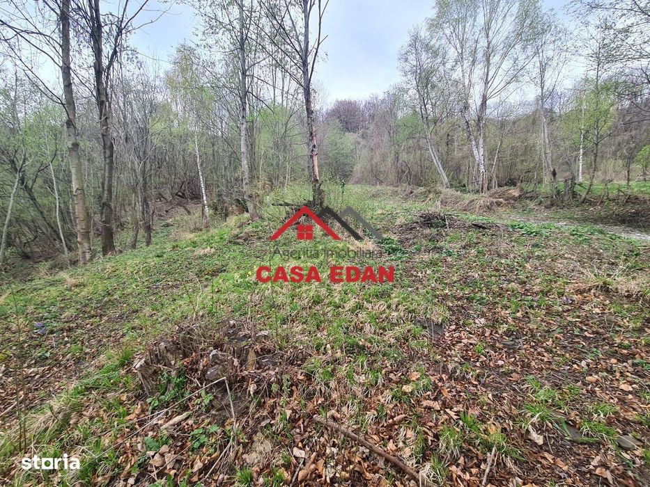 Teren intravilan in Valea Doftanei - Parajul Paltinu--1000 mp--120e