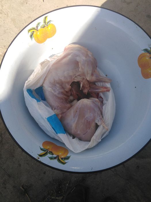Продам кроличье мясо
