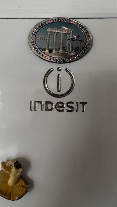 Холодильник Indesit