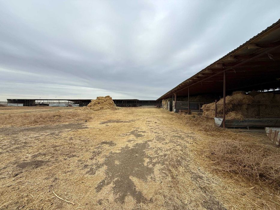 TAYYOR 4 GEKTARLI JOY Sotiladi #a730