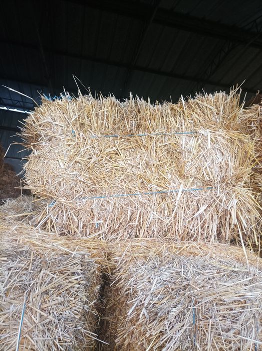 Продавам малки бали люцерна и слама . Люцерна 500 бали и 200бали слама